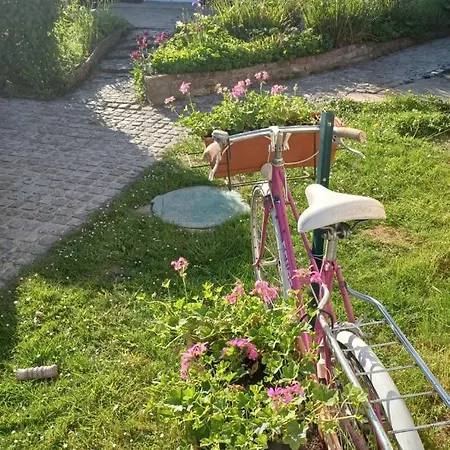 Le Mouton A Bicyclette Bed & Breakfast
